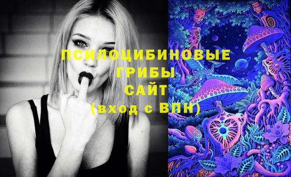 стафф Абинск